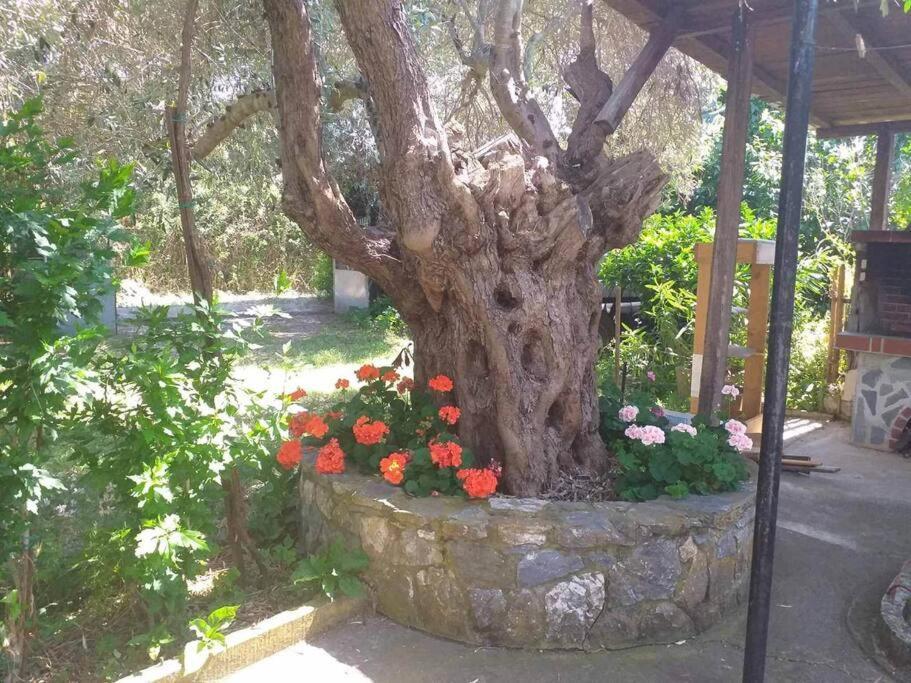 Zephyr Guest House Lefokastro Exterior foto